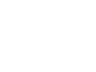 Logo Romanian American Foundation